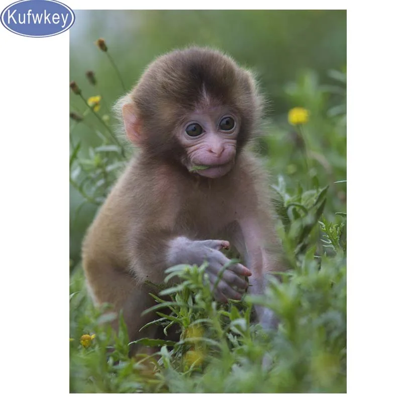 Алмазная вышивка Обезьяна милые животные алмазная живопись полноразмерная