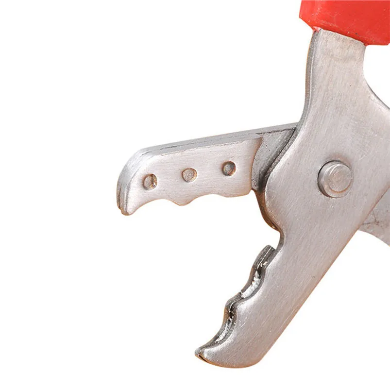 Нож для ракушек из нержавеющей стали нож ракушек|Открывалки| |