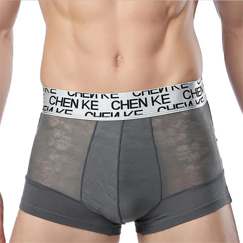 Мягкий модал сетки прозрачные мужчины бренд нижнего белья 2017 Cueca Sheer низкой