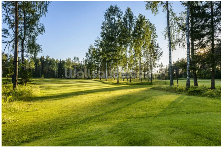 Пользовательские обои с природным пейзажем для гольфа 3D фото фрески гостиной