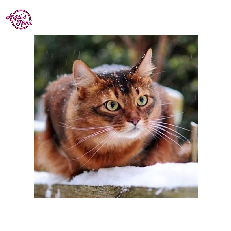 Сделай Сам алмаз живопись комплекты рукоделие полный вышивка картина крестиком