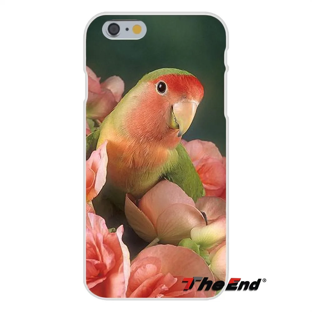 For HTC One M7 M8 A9 M9 E9 Plus Desire 630 530 626 628 816 820 Silicon Soft Phone Case Blue Ringneck Parrot Art Print | Мобильные