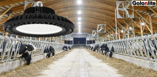 Конкурентоспособная цена оптовая продажа горячая распродажа 150 лм/Вт 100 Вт 240