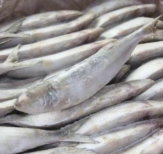 Машина для резки мяса замороженной рыбы курицы свинины|commercial meat slicer|meat slicermeat cuts