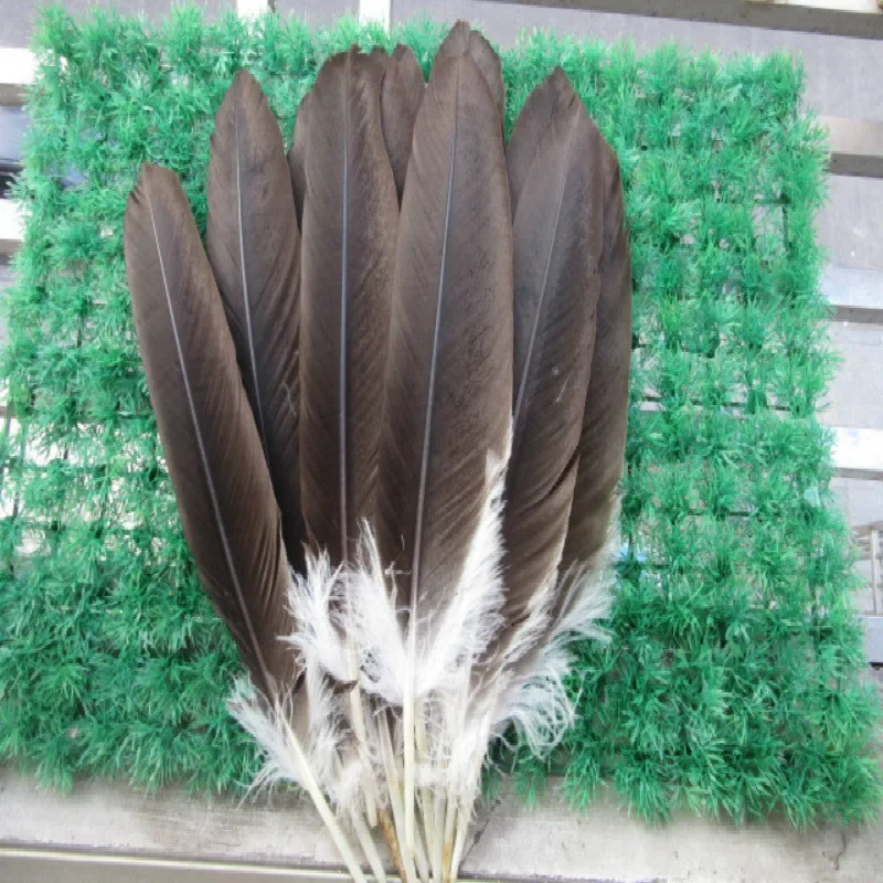 

wholesale 10 rare natural eagle feathers 40-45 cm/16-18 inches celebration decoration Jewelry accessories stage performance diy