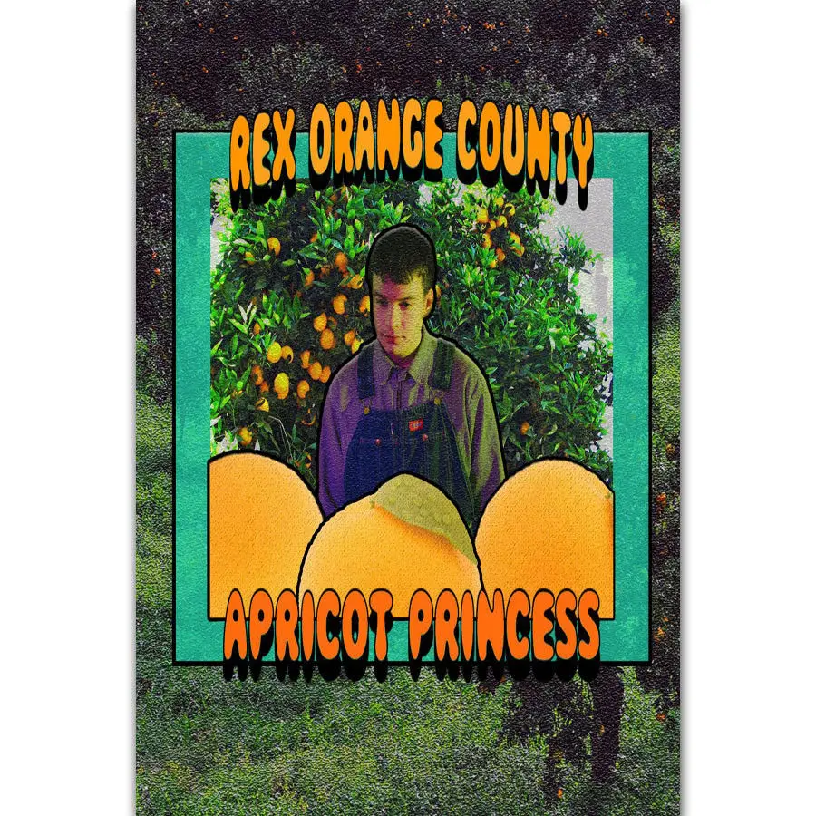 Q0691 постеры и принты New Rex Orange County Pop Music Singer пользовательский музыкальный альбом