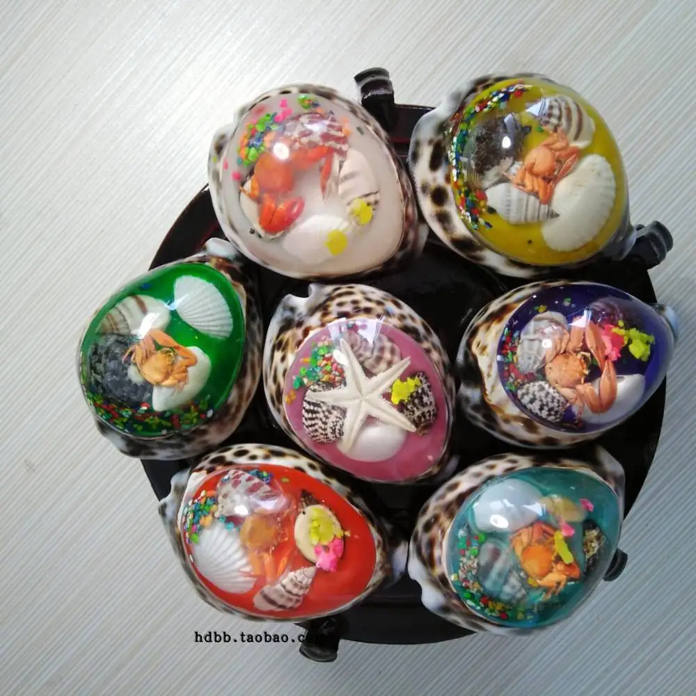 3 шт. большой натуральный ракушка ручной работы креативные подарки Табби