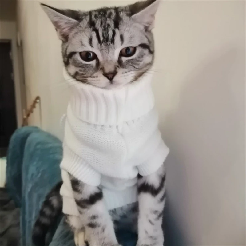 Одежда для кошек зимняя одежда собачек щенков йоркширских терьеров и чихуа-Хуа