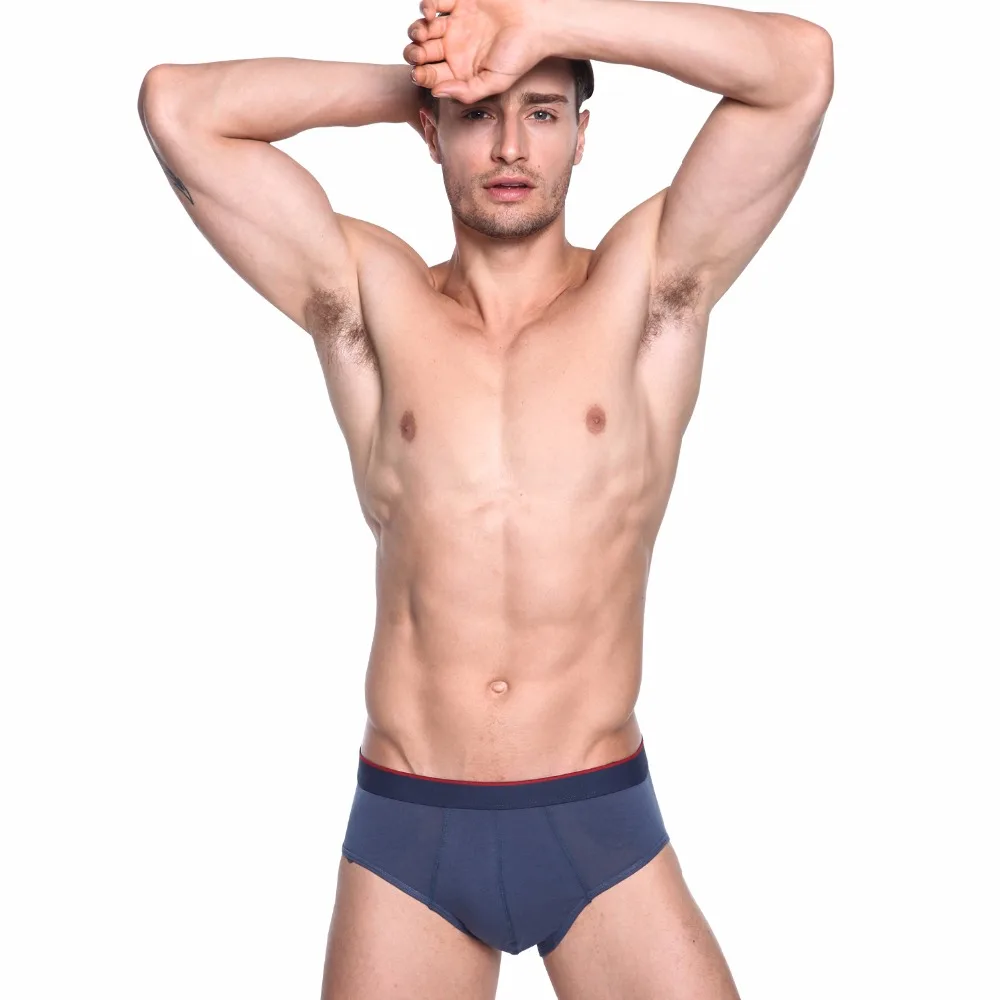 Men Briefs Men's Underwear Brief Solid Soft Underpants Modal Sexy calzoncillos hombre Shorts Cueca Male |