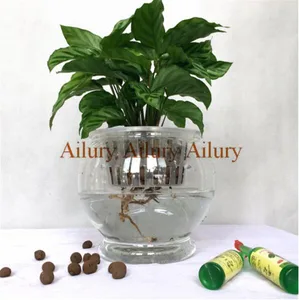 2 набора, фотография, пластиковая прозрачная гидропонная ваза, цветочный горшок из материала для семейного садоводства, цветочный горшок высокой четкости