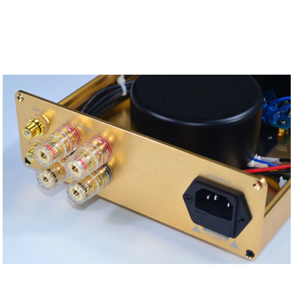 Classic LM1875 Enthusiast HiFi Amplifier 20W+20W | Лампы и освещение