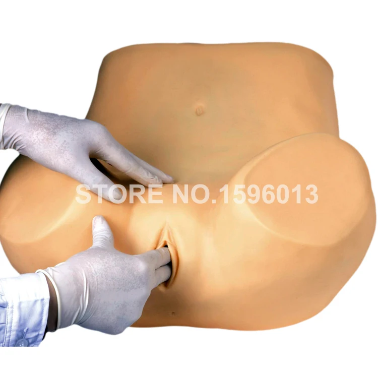 Продвинутый гинеколог модель гинекологического обучения осмотра таза GYN