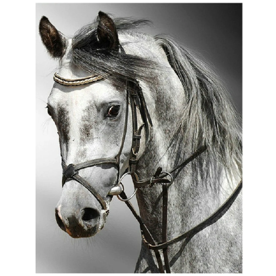 

Newest Diamond Painting animal horse Full Diamond Embroidery Pattern Rhinestones Decor Needlework DIY Diamond Mosaic Kit