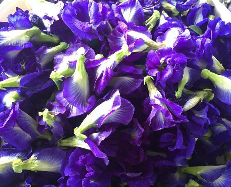

1bag 250g 500g Clitoria Ternatea dry flower kitchen toy.thailand Blue Butterfly Pea tea simulation play house toy.Vitamin A d11