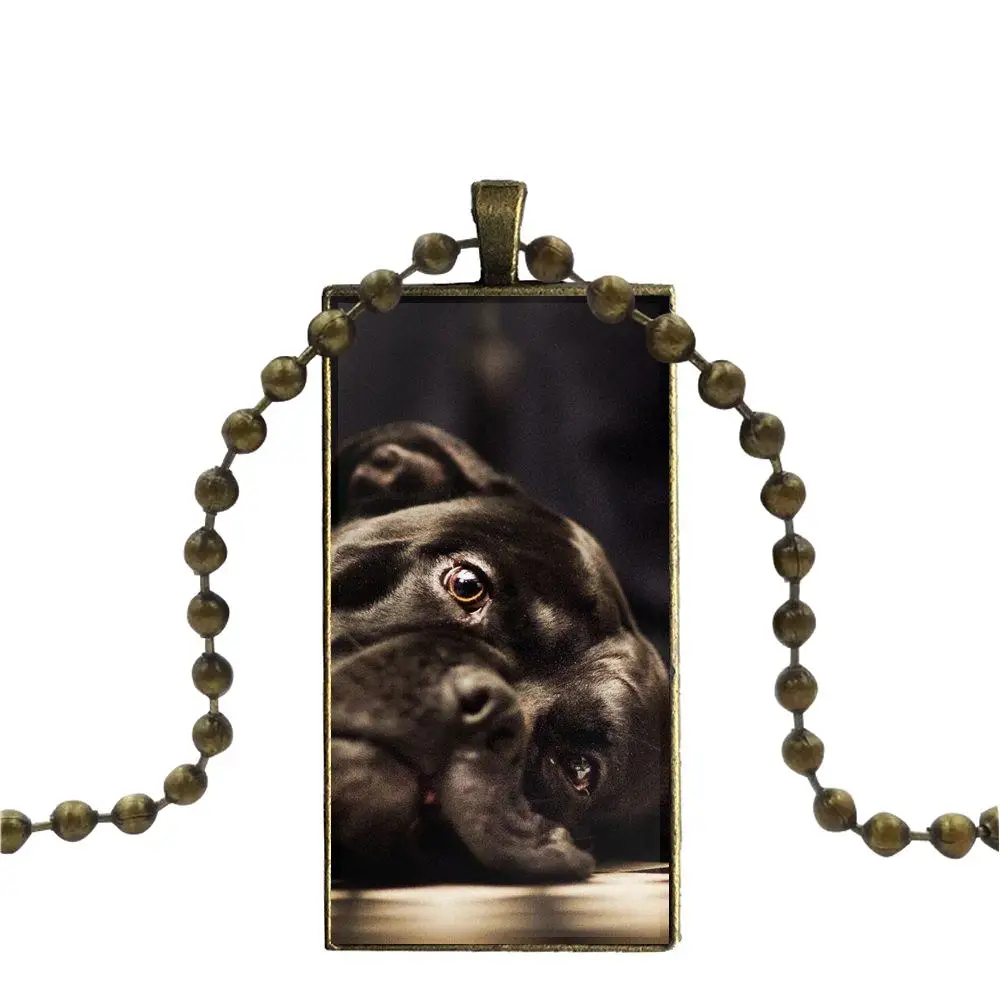 EJ glaze для женщин мужчин Frenchie Французский Бульдог ожерелье модная Длинная цепочка