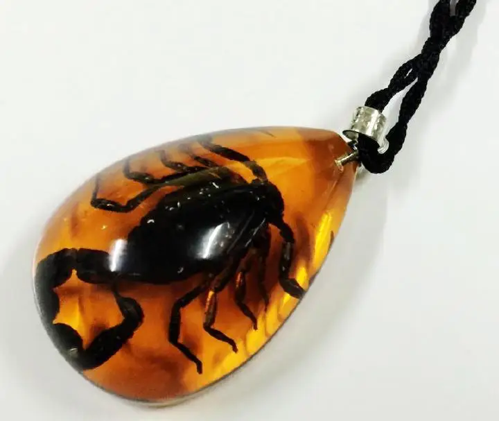 12 шт. реальные черные фотообои насекомые жуки ювелирные изделия готический панк