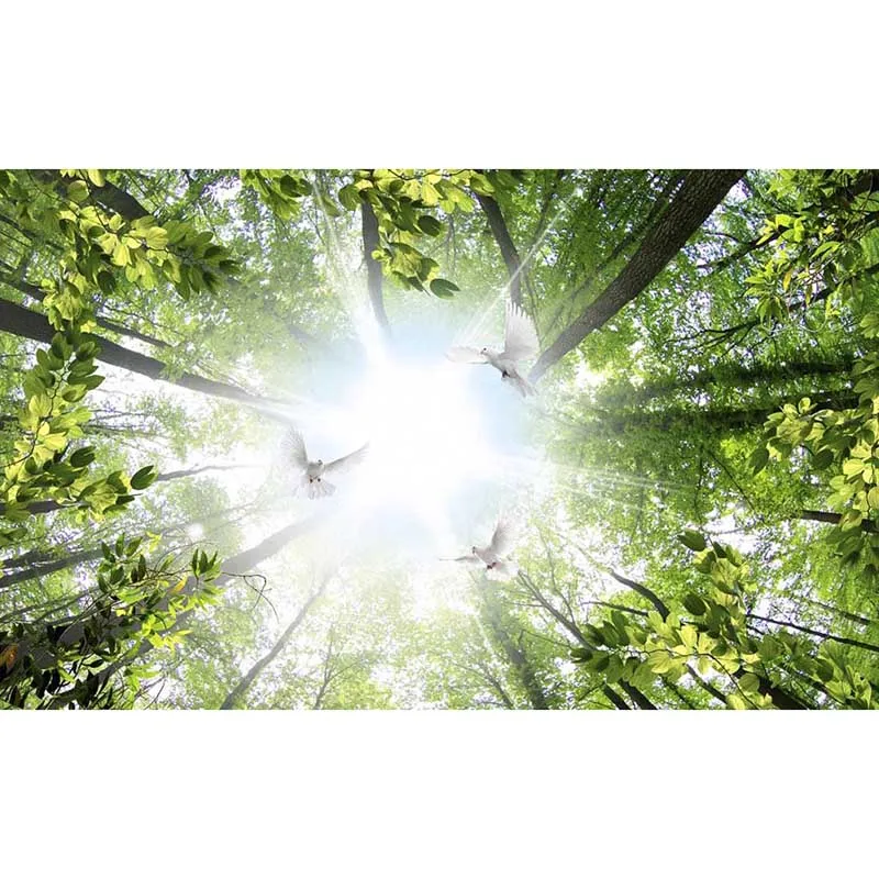 3D фотообои на заказ потолочные обои для стен гостиной нетканная ткань