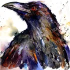 Новое поступление, 5d diy полная круглая алмазная живопись, вышивка, цветной ворон, животные, 3D наклейка, мозаика, украшение для картин