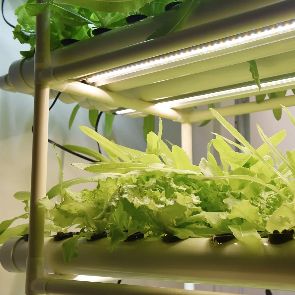 Высокое качество 36 Вт Новый светодиодный светильник для выращивания полный