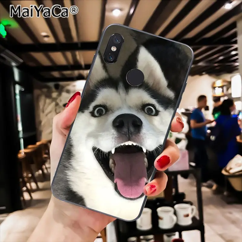 MaiYaCa породы Хаски; милый щенок собака чехол для телефона для Xiaomi Redmi8 4X 6A S2 7A 6A Redmi 5 5Plus Note5 7 Note8Pro - Цвет: A13
