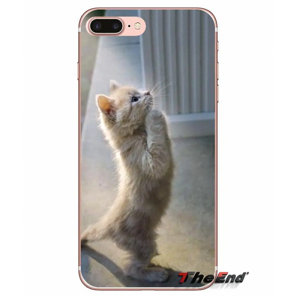 Силиконовый чехол для samsung Galaxy Note 3 4 5 Grand Core Prime S3 S4 S5 MINI S6 S7 edge S8 S9 Plus с милыми котята Коты - Цвет: images 7
