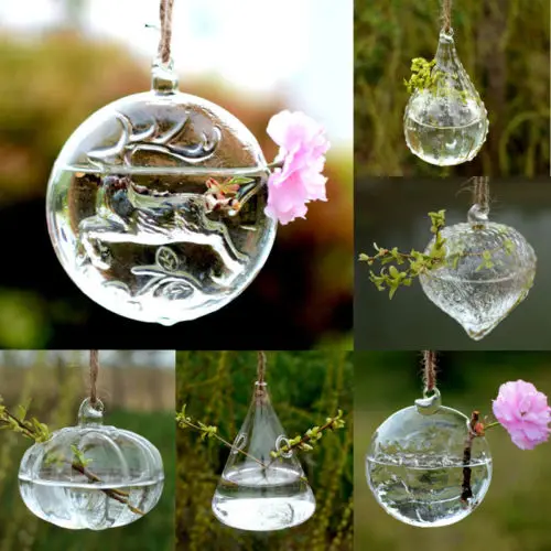Горячая Распродажа подвесные стеклянные Гидропонные цветы ваза круглые шарики
