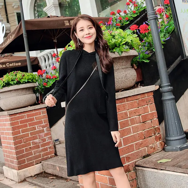 Для женщин платье Вязание длинный рукав Свободные утепленный вариант Dressesige