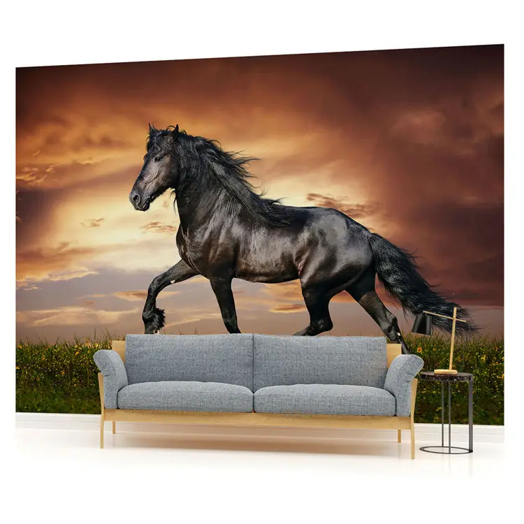 Красивые обои с изображением черной лошади фотообои на заказ животных