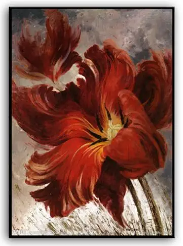 

Needlework,DIY cross stitch,set for full embroidery kit,red poppy flowers Printed Patterns Cross-Stitch kits home decor