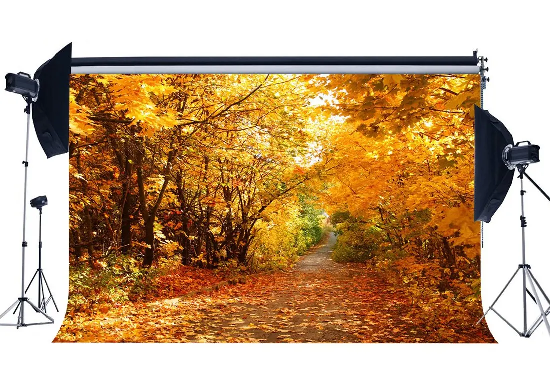 Осенний фон Джунгли Лес деревья фоны Золотые листья природа открытый для