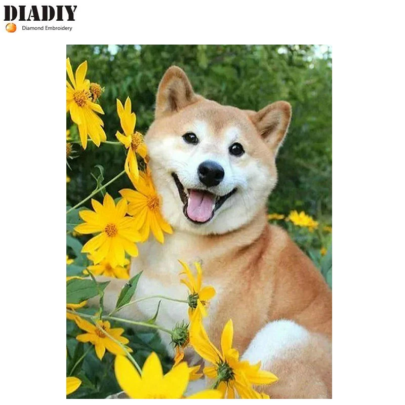 DIADIY новая распродажа алмазная вышивка полностью квадратная круглая дрель Akita dog
