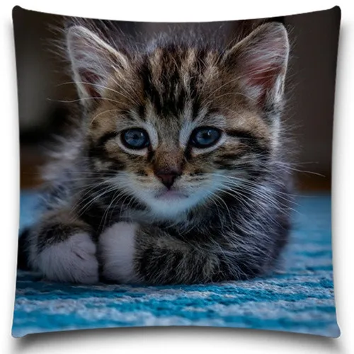 Наволочки с тыквами и черными кошками на Хэллоуин|throw pillow cases|cat throw pillowthrow cat |