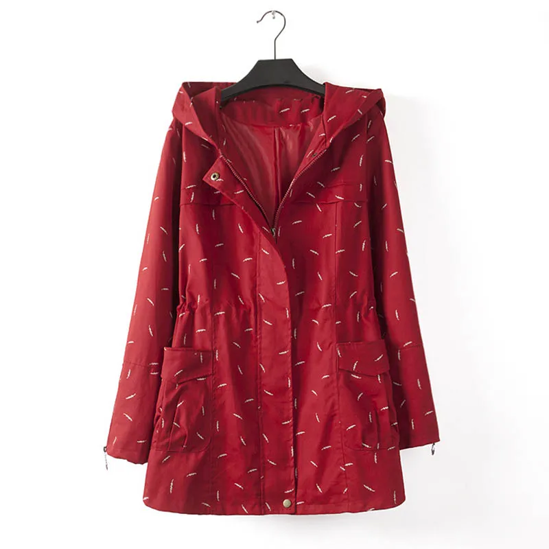Женская ветровка с капюшоном Длинная принтом C45 XL-4XL-осень | одежда