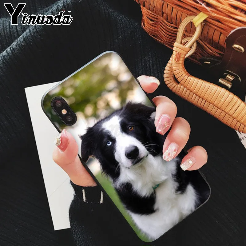 Yinuoda милый Border collie Dog Новый чехол для телефона Fundas Apple iPhone 8 7 6 6S Plus X XS MAX 5 5S SE XR