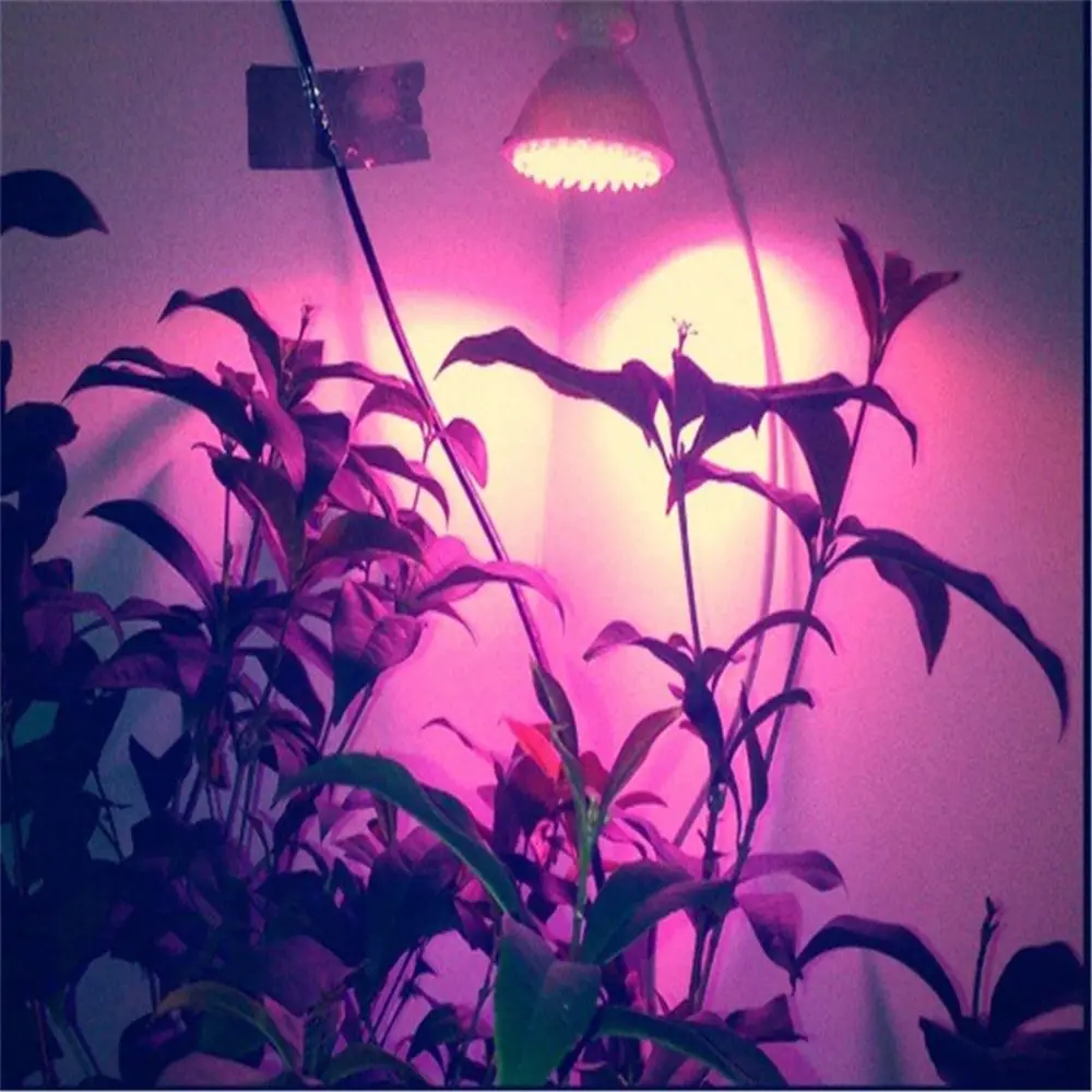 E27(38-138) светодиодный 2/5/7 Вт завода светать Лампы Гидропоника для сада лампа