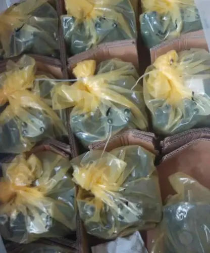 

A10VSO28DFR/31R-PPA12N00 Новый rexroth насос