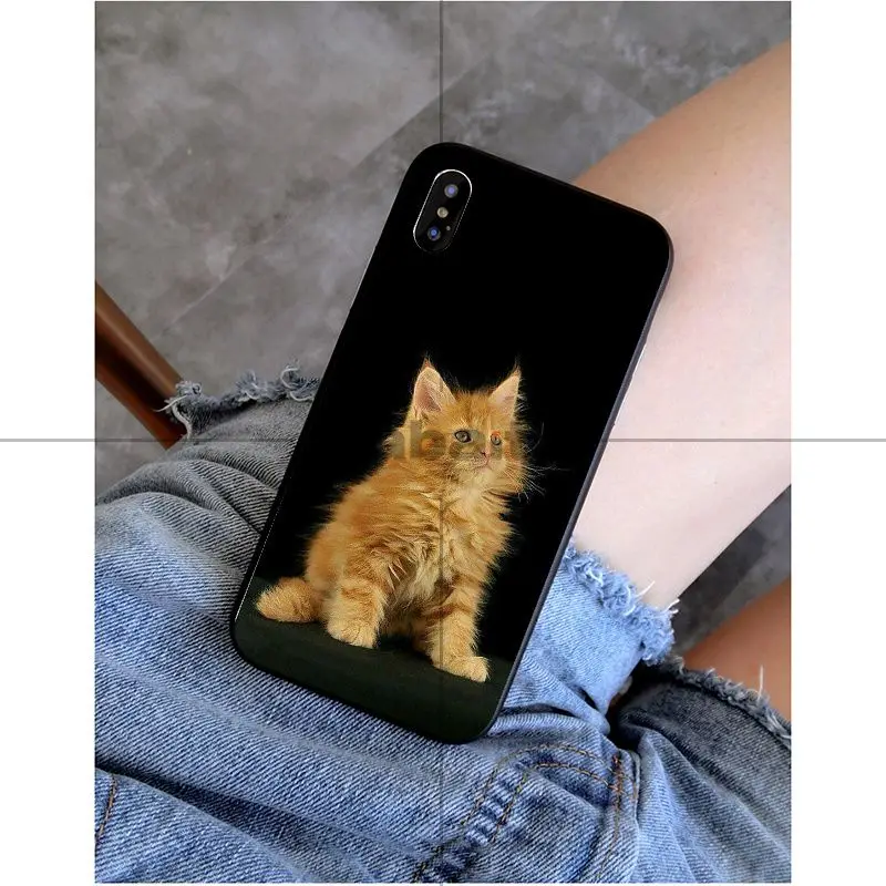 A13 Babaite pet мейн-кун кошка черный мягкий силиконовый чехол для телефона чехол для Apple iPhone 8 7 6 6S Plus X XS MAX 5 5S SE XR Чехол для мобильного телефона s - Цвет: A13