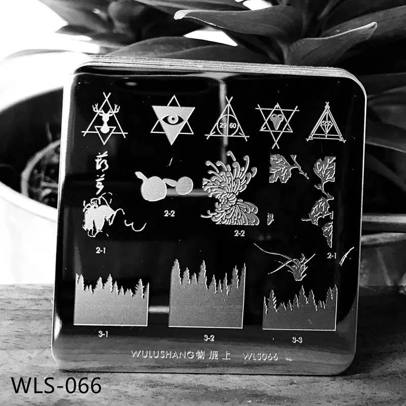 Геометрический дизайн ногтей штамп пластины шаблоны WLS штамповки 6*6 см