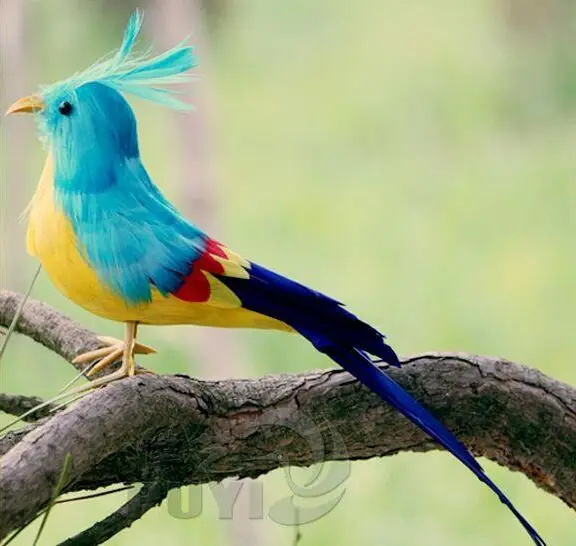 

cute real life blue&yellow bird model foam&feather simulation vivid bird doll gift about 22cm xf0814