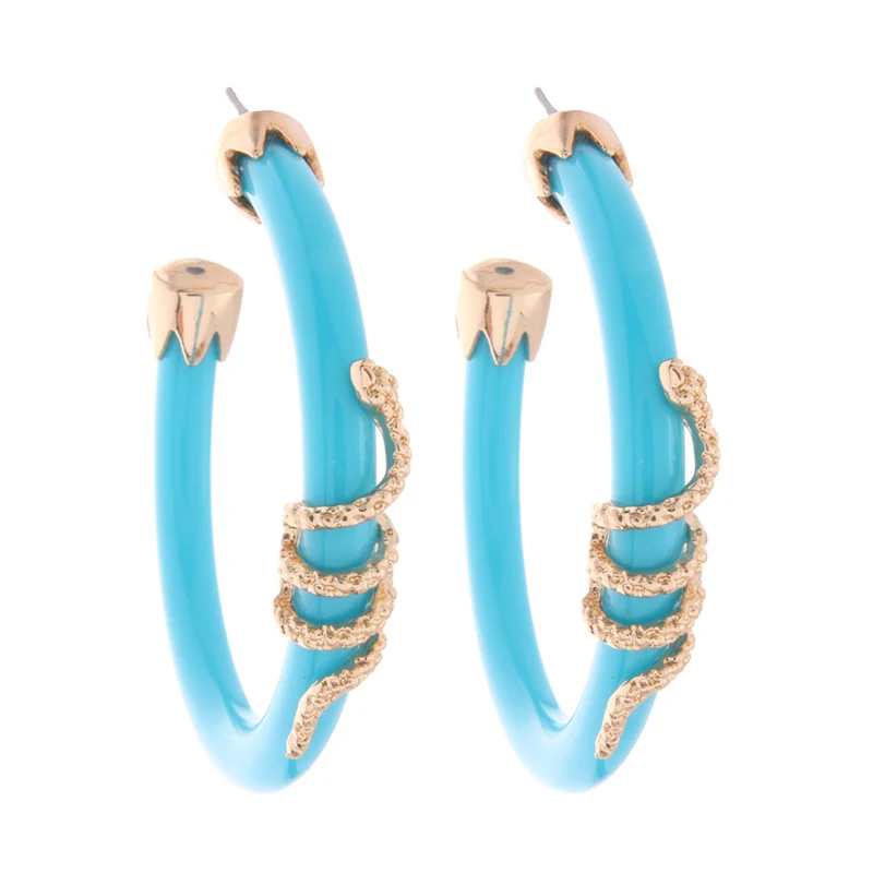 Gold lake blue NeeFu WoFu висячая серьга со змеями для женщин, Очаровательная полимерная серьга, модное ушное кольцо, большие серьги Brinco Oorbellen - Окраска металла: Gold lake blue