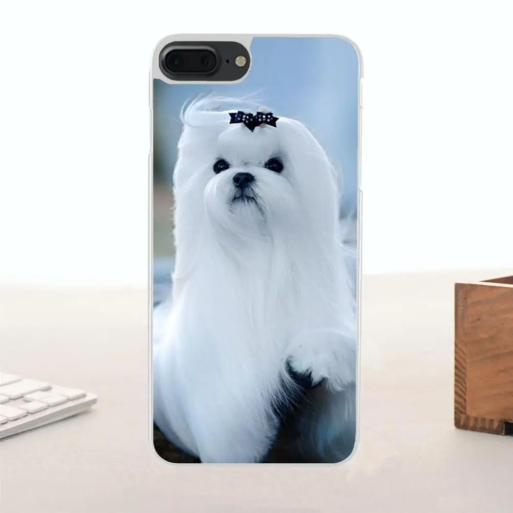Мягкий ТПУ Лидер продаж Shih Tzu Щенки собак для Galaxy Alpha Core Note 2 3 4 S2 A10 A20 A20E A30 A40 A50 A60 A70