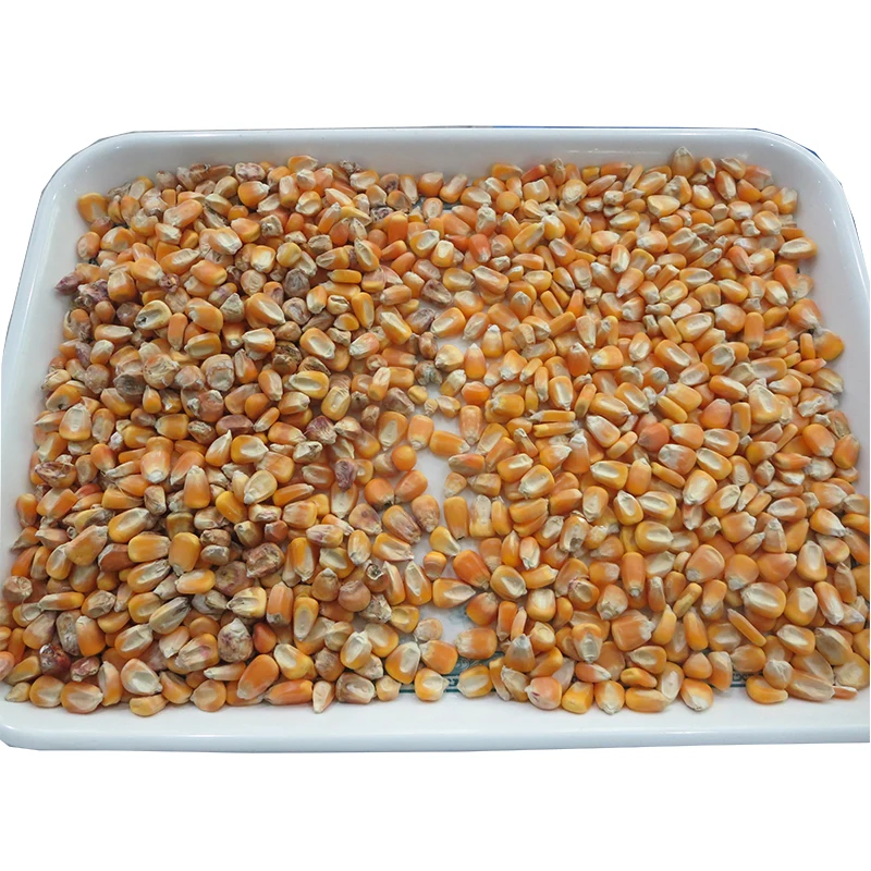 Сортировочная машина для производства кукурузного крахмала|Кухонные комбайны| |