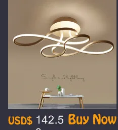 Современный LED блеск Luminarias Para Sala светодиодные лампы для дома проход, коридор, балкон кухня вход светильники