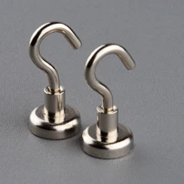 Magnet Hook 2 шт. Неодимовый N52 магнитный крючок Вертикальная тяга-сила 1 кг магнит сильный Многофункциональный стикер на холодильник крючки магнитный материал основа - Цвет: Magnet Hook