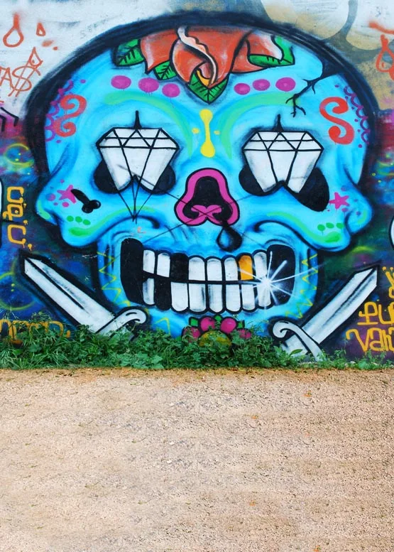 Виниловый тканевый фон для фотосъемки с изображением головы черепа и голубого