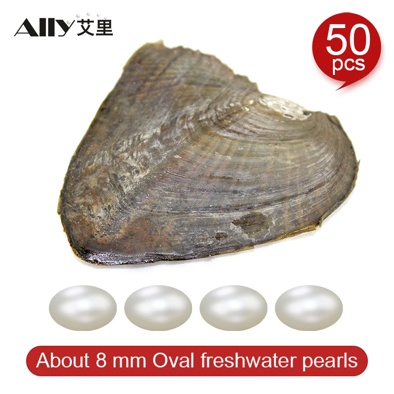 Ally 50pcs direct sale oysters with perfect real natural freshwater pearls bread round 6-7mm AAA for gifts fine jewelry | Украшения и