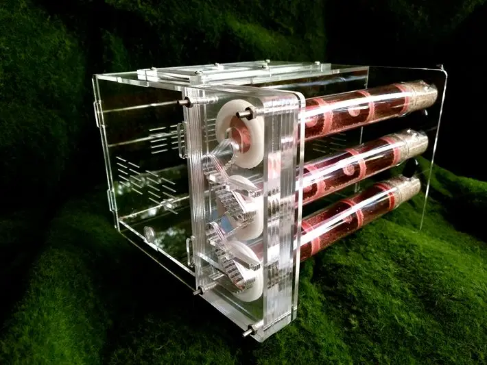 1 шт. Муравьиное гнездо 3 тестовые трубки бамбуковое | Дом и сад