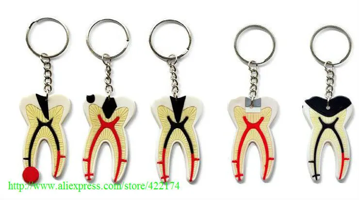 

Free Shipping wholesale 20pcs Plastic Tooth Key Chain dental Accessories adornment products odontologia supplies for dentist