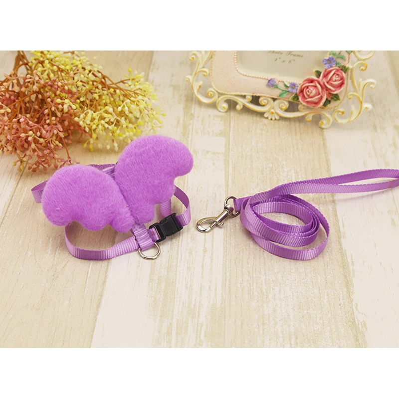 Набор ошейников для милых собак поводок с углами и крыльями маленьких кошек
