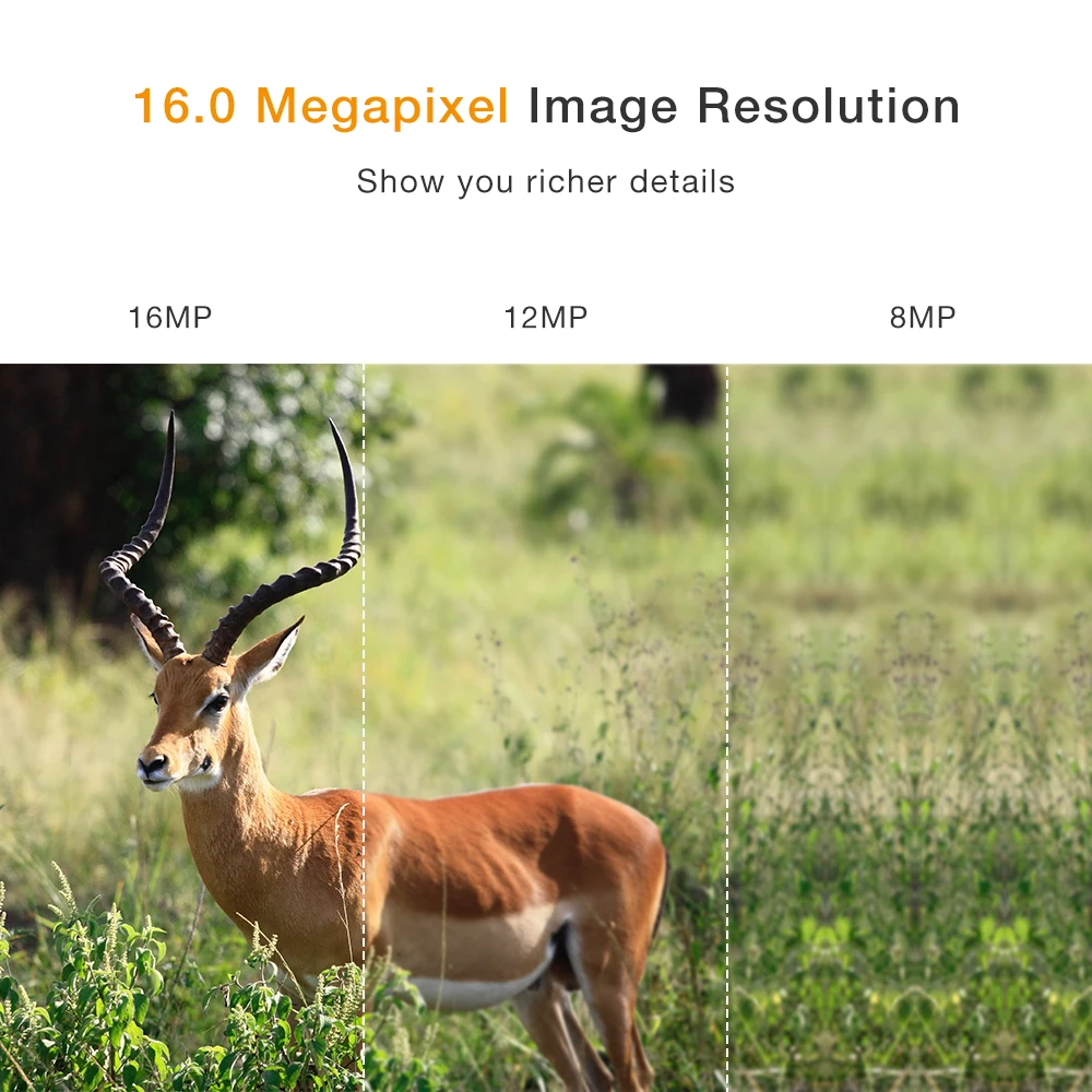 

ZOSI Trail Camera 16MP 1080P HD game&hunting camera with UP to 65ft night vision Weatherproof for Wildlife Hunting and Security